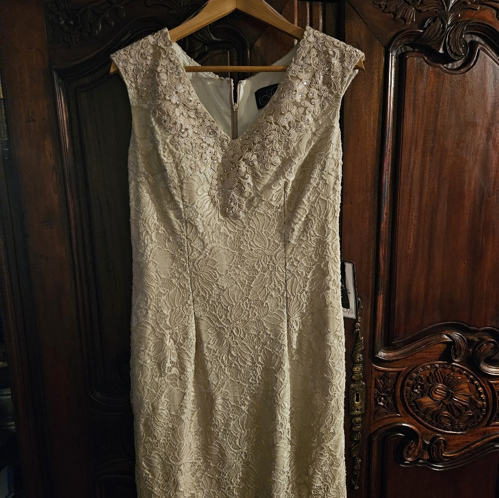 A beautiful  lace mid length  cream colors dress.